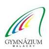 Medzinárodný úspech malackého gymnázia